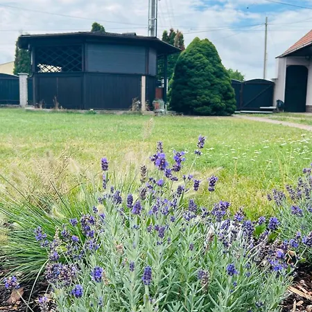 Vidiecky Dom Pri Kastieli- Pri Piestanoch Feriehus Brunovce